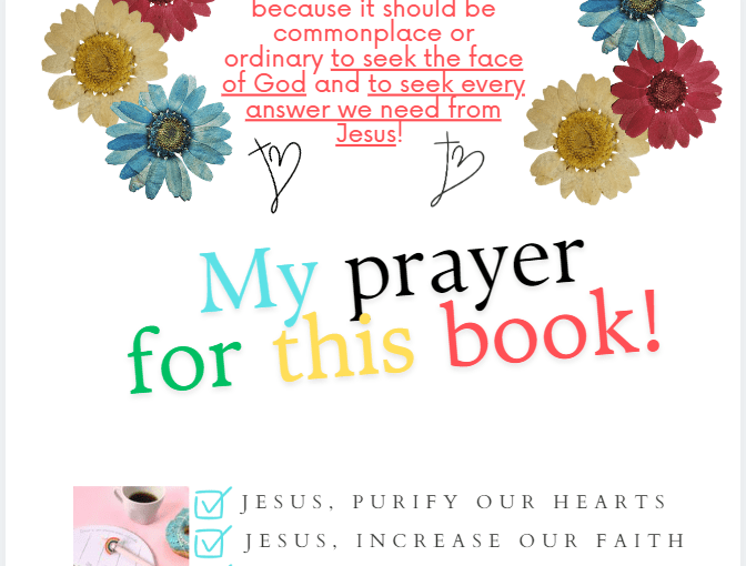 🎉Exciting News: Double Release on Black Friday!&nbsp;🎉