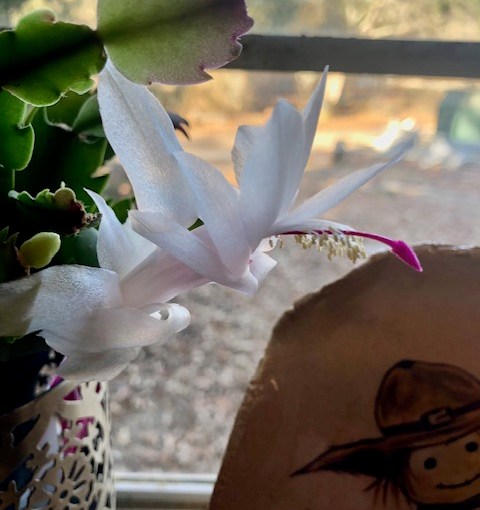 Return to Your&nbsp;Stronghold