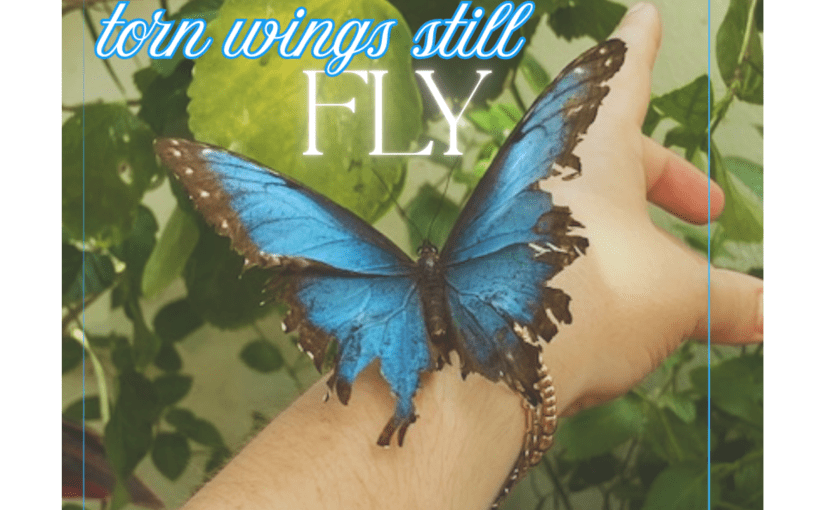 Authentic Praise: Worship Set&nbsp;Apart